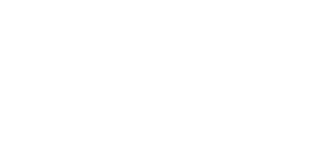 AVIA NEW LOGO White